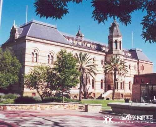 堪培拉大学